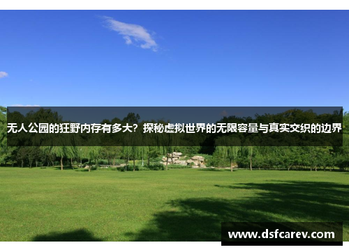 无人公园的狂野内存有多大？探秘虚拟世界的无限容量与真实交织的边界